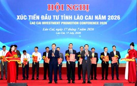 Lào Cai trao chủ trương đầu tư 24 dự án, tổng vốn đăng ký hơn 24.160 tỉ đồng