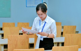 Nhiệm vụ hè được tính thu nhập tăng thêm, giáo viên Thành phố Hồ Chí Minh cần biết
