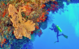 Chùm điểm du lịch khác lạ qua "ống kính" Travel & Leisure Asia