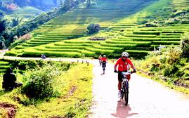 Thơ mộng đường đua giữa mây ngàn và sóng lúa vàng Mường Bo