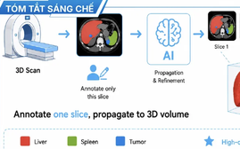 Một đại học của Việt Nam được cấp bằng sáng chế châu Âu trong lĩnh vực trí tuệ nhân tạo ứng dụng y học