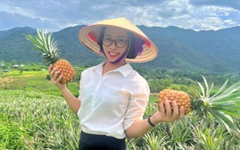 Kỳ vọng vào cây dứa giúp đồng bào biên giới Nghệ An thoát nghèo