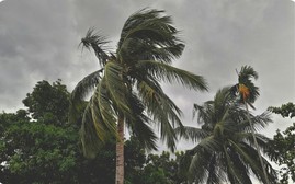 Áp thấp nhiệt đới ảnh hưởng thế nào đến thời tiết?