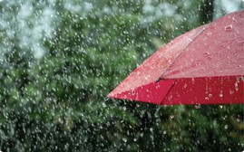 Di chuyển đến các tỉnh/thành phố này cần chú ý đề phòng mưa lớn
