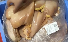 Hà Nội yêu cầu khẩn trương kiểm tra, làm rõ phản ánh thịt gà và tôm bốc mùi được đưa đến trường học