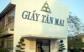 Thanh tra Chính phủ chỉ ra loạt sai phạm tại Tập đoàn Tân Mai