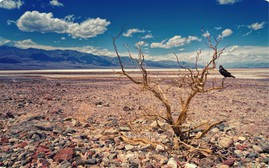 Dự báo El Niño tăng hơn và đạt cường độ rất mạnh
