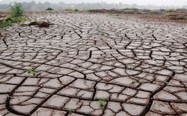 Nhiệm vụ của các Bộ, ngành ứng phó với tác động của El Nino