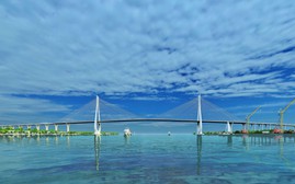 Cầu Cát Lái và cầu Long Hưng: Chinh phục bài toán kỹ thuật phức tạp, biểu tượng mới trên sông Đồng Nai