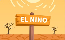 Dự báo tác động "rất mạnh" khi El Niño đạt đỉnh năm nay