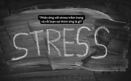“Rối loạn hỗn hợp về hành vi và cảm xúc” là gì? Hiểu đúng để không hoang mang sau vụ ở trường học Thạnh An