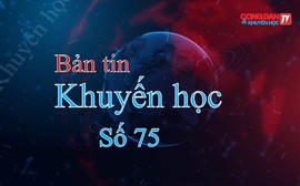 Hoạt động Khuyến học tại các tỉnh thành phố: Hà Nam, Hải Phòng, Thanh Hóa, Quảng Bình, An Giang (9/11-16/11/2024)