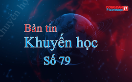 Hoạt động Khuyến học tại các tỉnh thành phố: Thái Bình, Ninh Bình, Hà Nội, Bạc Liêu (7/12-14/12/2024)