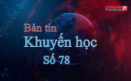 Hoạt động Khuyến học tại các tỉnh thành phố: Vĩnh Phúc, Sơn La, Yên Bái, Thanh Hóa, Huế, Lâm Đồng (30/11-7/12/2024)