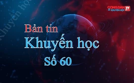 Hoạt động Khuyến học tại các tỉnh thành: Lào Cai, Yên Bái, Quảng Ninh, Thái Bình, Quảng Bình và Bạc Liêu (27/7-3/8/2024)