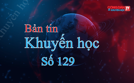 Hoạt động Khuyến học tại các tỉnh thành phố: Hà Nội, Điện Biên, Thanh Hóa, Nghệ An, Quảng Ninh, Đà Nẵng (13/12-20/12/2025)