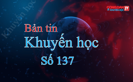 Hoạt động Khuyến học tại các tỉnh thành phố: Gia Lai, Lâm Đồng, Đà Nẵng, Hưng Yên (7/2/2026 - 14/2/2026)