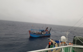Áp thấp nhiệt đới nằm trên khu vực Giữa Biển Đông, kịp thời ứng cứu 12 ngư dân bị trôi dạt trên biển