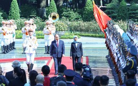 Tổng thống Singapore Halimah Yacob thăm chính thức Việt Nam