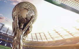Chi khoảng 12 triệu USD (trong đó VPBank tài trợ 100 tỉ đồng), VTV đã sớm có bản quyền World Cup 2022