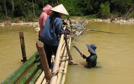 Quảng Ninh: Học sinh và người dân ở Mả Phềnh đi qua suối bằng cầu tre tạm