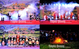 Khai mạc lễ hội "Mùa vàng Hồng Thái" năm 2022