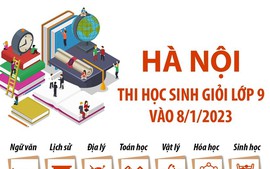 [Infographics] Kỳ thi học sinh giỏi lớp 9 tại Hà Nội