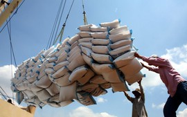 Indonesia nhập khẩu gạo: 5.000 tấn từ Việt Nam
