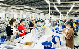Quảng Ninh: Không để doanh nghiệp nợ lương người lao động dịp Tết