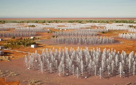 Australia "trồng" 130.000 anten hình cây thông Giáng sinh