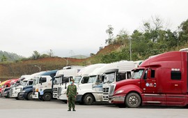 Gần 1000 xe hàng ùn ứ tại các cửa khẩu tỉnh Lạng Sơn