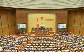 Góc nhìn cử tri về Luật Phòng chống bạo lực gia đình (sửa đổi) và đề xuất giải pháp chống úng ngập ở Hà Nội