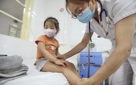 Thành phố Hồ Chí Minh ghi nhận 9 trường hợp tử vong do sốt xuất huyết