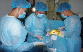 Khánh Hòa: Bệnh xá đảo Phan Vinh phẫu thuật cứu sống ngư dân viêm ruột thừa cấp