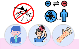 [Infographic] Sốt xuất huyết Dengue: Những lưu ý trước nguy cơ bùng phát dịch ở miền Bắc
