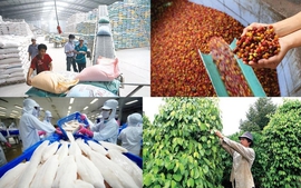 Việt Nam phấn đấu trở thành trung tâm chế biến nông sản top 10 thế giới năm 2030
