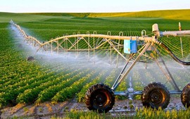 Sản xuất nông nghiệp và biến đổi khí hậu - Vòng tuần hoàn luẩn quẩn 