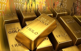 Ngày 11/8: Giá vàng trong nước về mốc 66 triệu đồng/lượng, giá xăng được kỳ vọng tiếp tục giảm