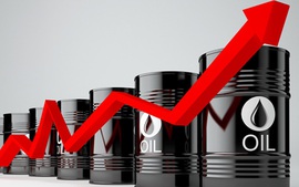 Giá dầu thế giới có tăng trở lại hay không?