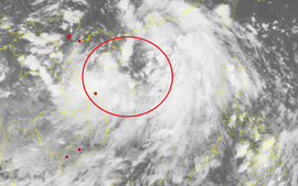 Áp thấp nhiệt đới đã mạnh lên thành bão số 2 trên Biển Đông, Bắc Bộ, Bắc Trung Bộ mưa lớn