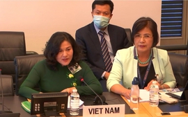 Đối thoại và biện pháp thực hiện của Việt Nam trong lĩnh vực quyền trẻ em được CRC đánh giá cao