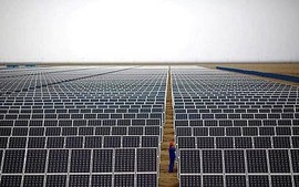 Châu Á dẫn đầu tăng trưởng toàn cầu về năng lượng tái tạo