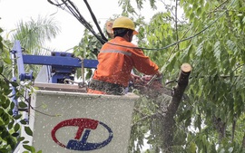 Bão số 4 suy yếu thành áp thấp nhiệt đới, Điện lực Miền Trung khẩn trương khôi phục lưới điện