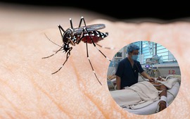 Số ca sốt xuất huyết ở Hà Nội giảm mạnh, không ghi nhận thêm ổ dịch mới