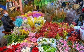 Chợ hoa Mê Linh nhộn nhịp ngày cận Tết