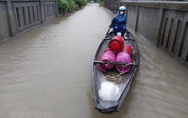Thiệt hại do mưa lũ tại các tỉnh miền Trung