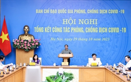 Thủ tướng: Thành công trong cuộc chiến chống COVID-19 khẳng định tinh thần Việt Nam, bản lĩnh Việt Nam