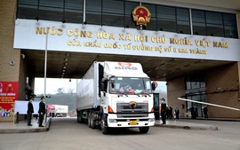 Mỗi ngày có hơn 400 tấn sầu riêng xuất khẩu sang Trung Quốc qua Cửa khẩu Lào Cai