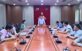 Nguyên Giám đốc Văn phòng Đăng ký quyền sử dụng đất thành phố Hạ Long bị kỷ luật Đảng