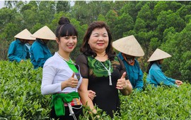 Chung khảo Nhân tài Đất Việt 2023: Bà Bùi Thị Mão và hành trình mang búp chè Việt Nam vươn ra thế giới